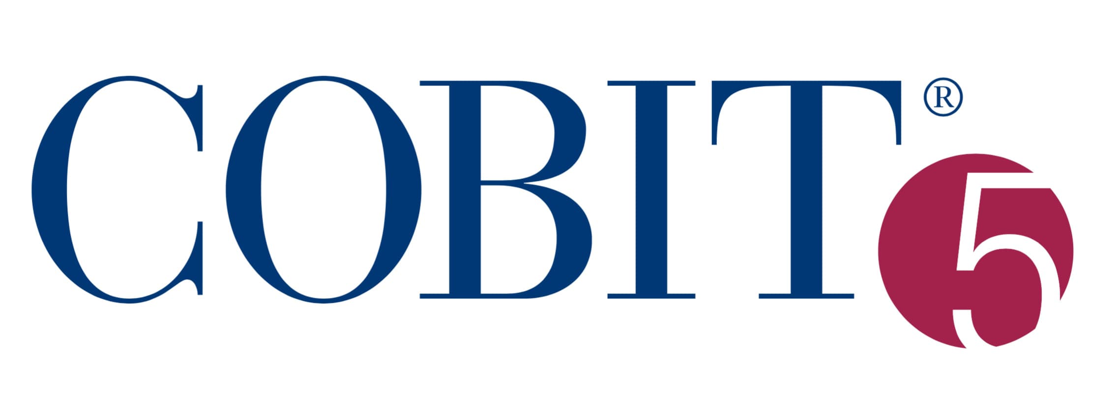 What is the Importance of COBIT